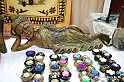 VBS_4376 - Festival dell'Oriente 2022